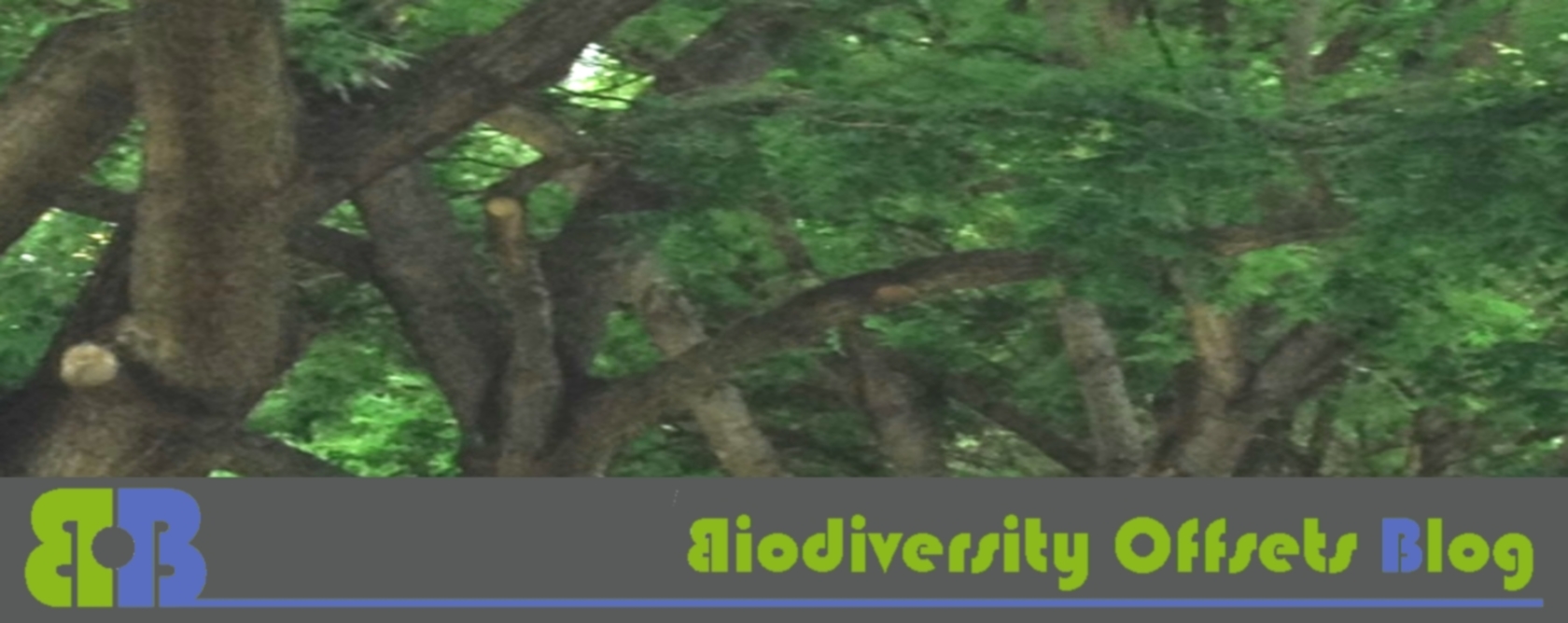 Biodiversity Offsets Blog Logo_hellgruen_Bäume_1680