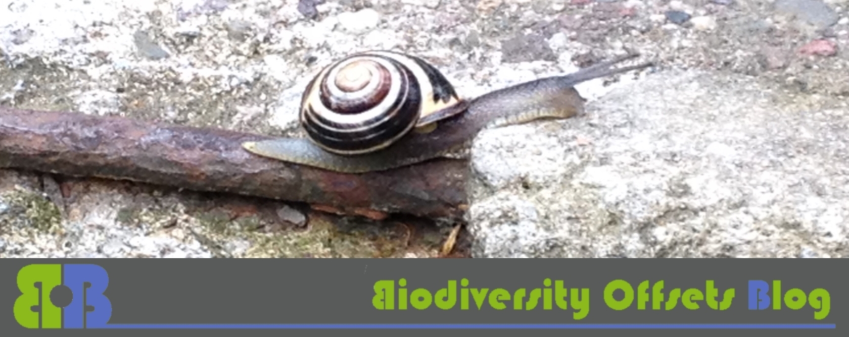 Biodiversity Offsets Blog Logo_hellgruen_schnecke_1680