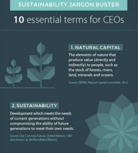 2015_10_21_10-terminos-capital-natural-sostenibilidad_2