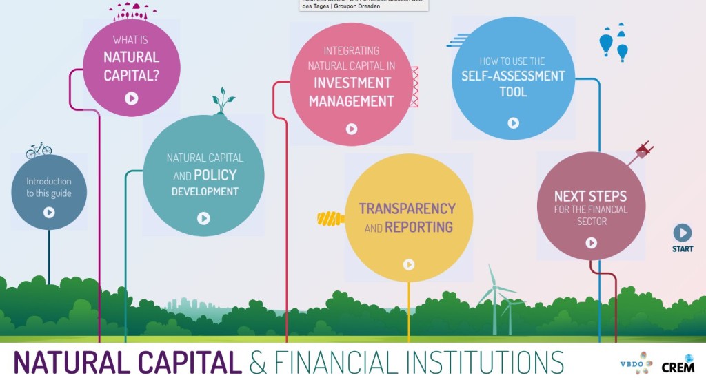 natural capital